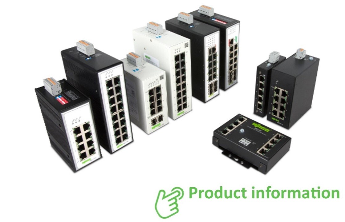 Wago Industrial Switches